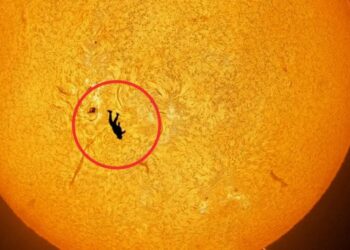 Astonishing Photo Shows Man Skydiving Through Sun