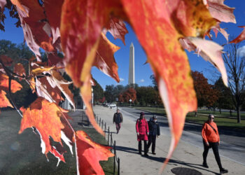 November is nearly half over, but without dampness or drizzle