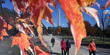 November is nearly half over, but without dampness or drizzle