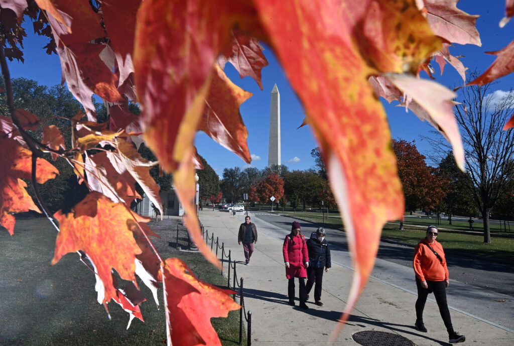 November is nearly half over, but without dampness or drizzle