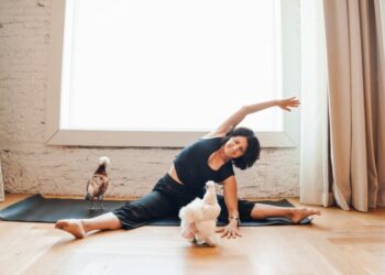 Rescued chickens wearing diapers join monthly Florida yoga class