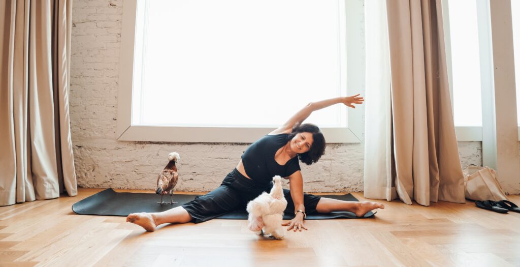 Rescued chickens wearing diapers join monthly Florida yoga class