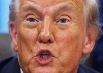 ‘I want this’: Dem donor targeted by Trump calls his bluff over Epstein files