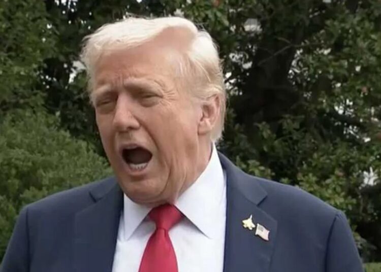 ‘You’re losing me here’: Trump facing firestorm from fans over war on MTG