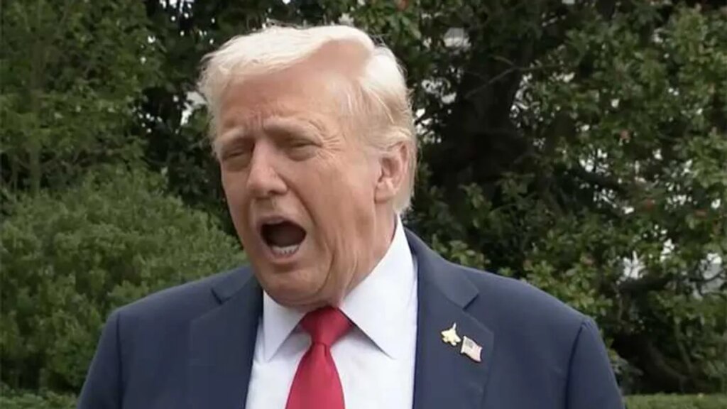 ‘You’re losing me here’: Trump facing firestorm from fans over war on MTG