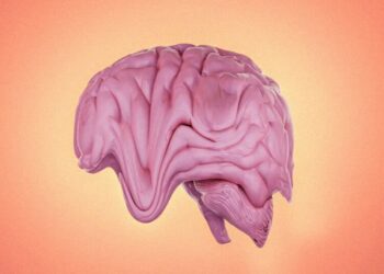 New Development Environment for Programmers Rewards Them With Brainrot When They Prompt the AI