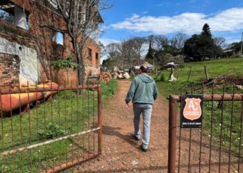 One man’s obsessive quest to uncover Brazil’s buried Nazi past
