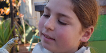 When the city tried to take a 10-year-old’s bees, hundreds rallied behind him