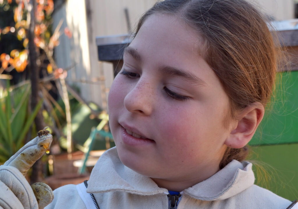 When the city tried to take a 10-year-old’s bees, hundreds rallied behind him