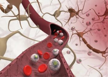 MIT Invents Injectable Brain Chips