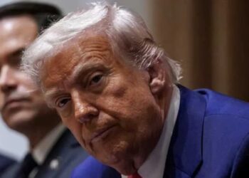 ‘What in the holy hell?’ Trump warned new threats have left MAGA base bamboozled