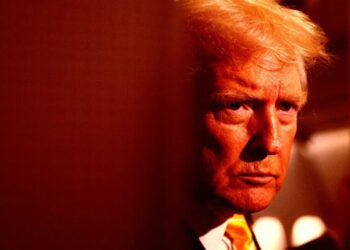 The Stock of Trump’s Tech Company Is Crashing So Hard It Isn’t Even Funny