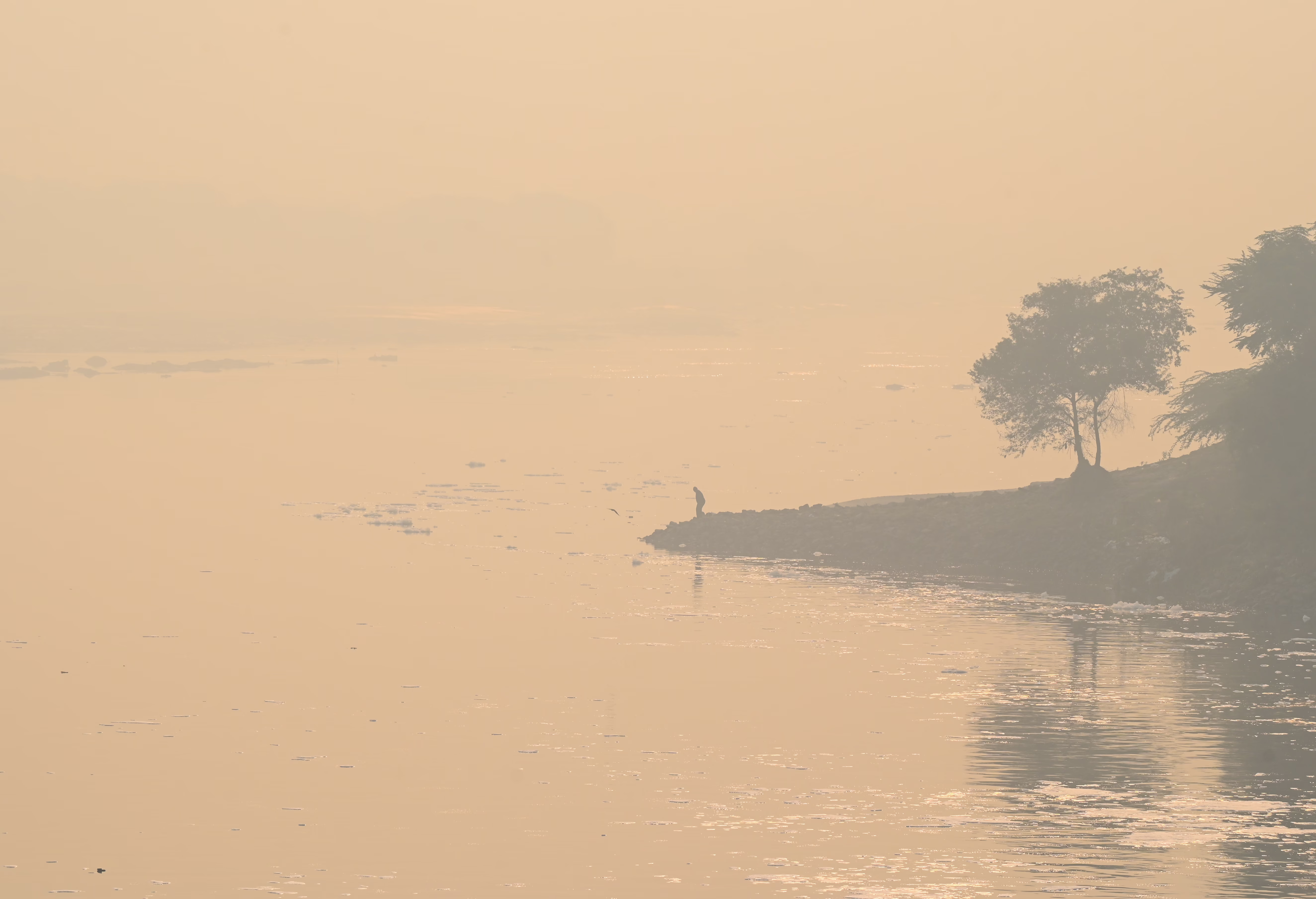 A person stands on a riverbank, seen through thick smog.