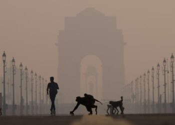 Photos: India’s Polluted Skies