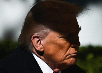 Trump Turns on His Epstein-Files Allies