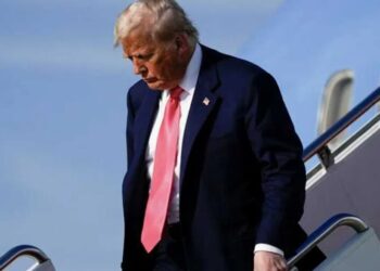 Even Trump’s most fawning fans are dumbfounded by this brainwave