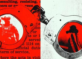 The Administration’s Favorite Statute