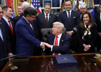 ‘Daddy gave you permission?’ Mike Johnson pummeled for reversal on Epstein vote