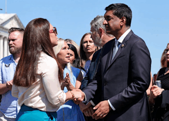 Epstein vote may elevate Dem lawmaker who claims he ‘ripped MAGA apart’: report