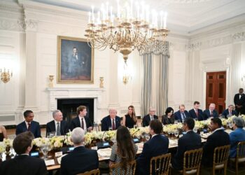 White House drafts order directing Justice Department to sue states that pass AI regulations