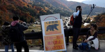 Deadly bear attacks set Japan on edge, prompt military action