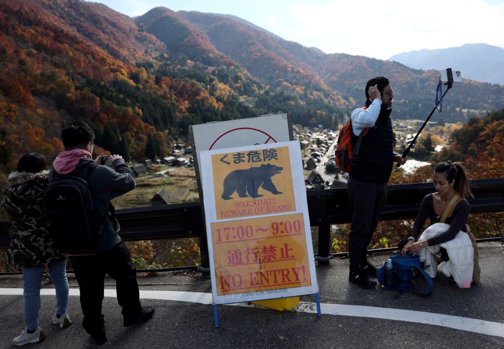 Deadly bear attacks set Japan on edge, prompt military action