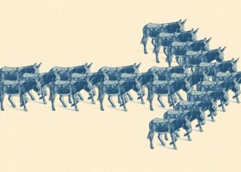 Leftists and Moderates Are Trying to Be More Like Each Other