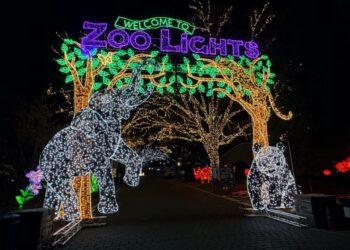 The 34 best things to do in D.C. this weekend and next week