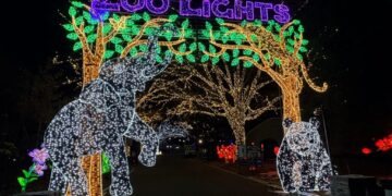 The 34 best things to do in D.C. this weekend and next week