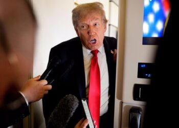 The Pig Is in the White House