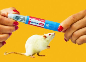 Low Doses of Ozempic-Like Drug Can Counteract Aging in Older Mice, Study Finds