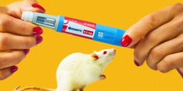 Low Doses of Ozempic-Like Drug Can Counteract Aging in Older Mice, Study Finds