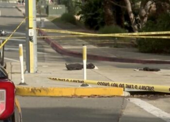 Driver suspected of DUI in death of 13-year-old boy had 2 drunk driving convictions