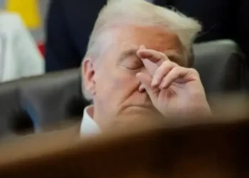 ‘So stunning’: Biden economics adviser bewildered by Trump’s latest self-destructive reply