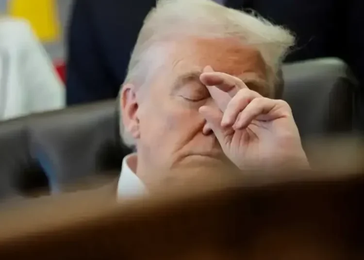 ‘So stunning’: Biden economics adviser bewildered by Trump’s latest self-destructive reply