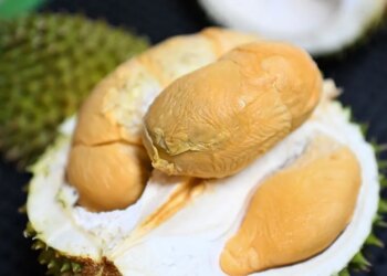 Why Southeast Asia Fights Over Food—but Shouldn’t, According to Experts