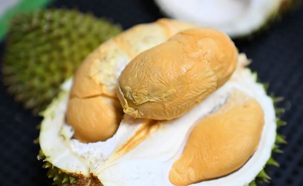 Why Southeast Asia Fights Over Food—but Shouldn’t, According to Experts