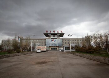 How to Win the Economic War with China