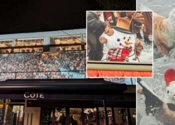 Giant AI-Generated Christmas Decoration Being Torn Down After Residents Noticed Grotesque Horrors Hidden in It