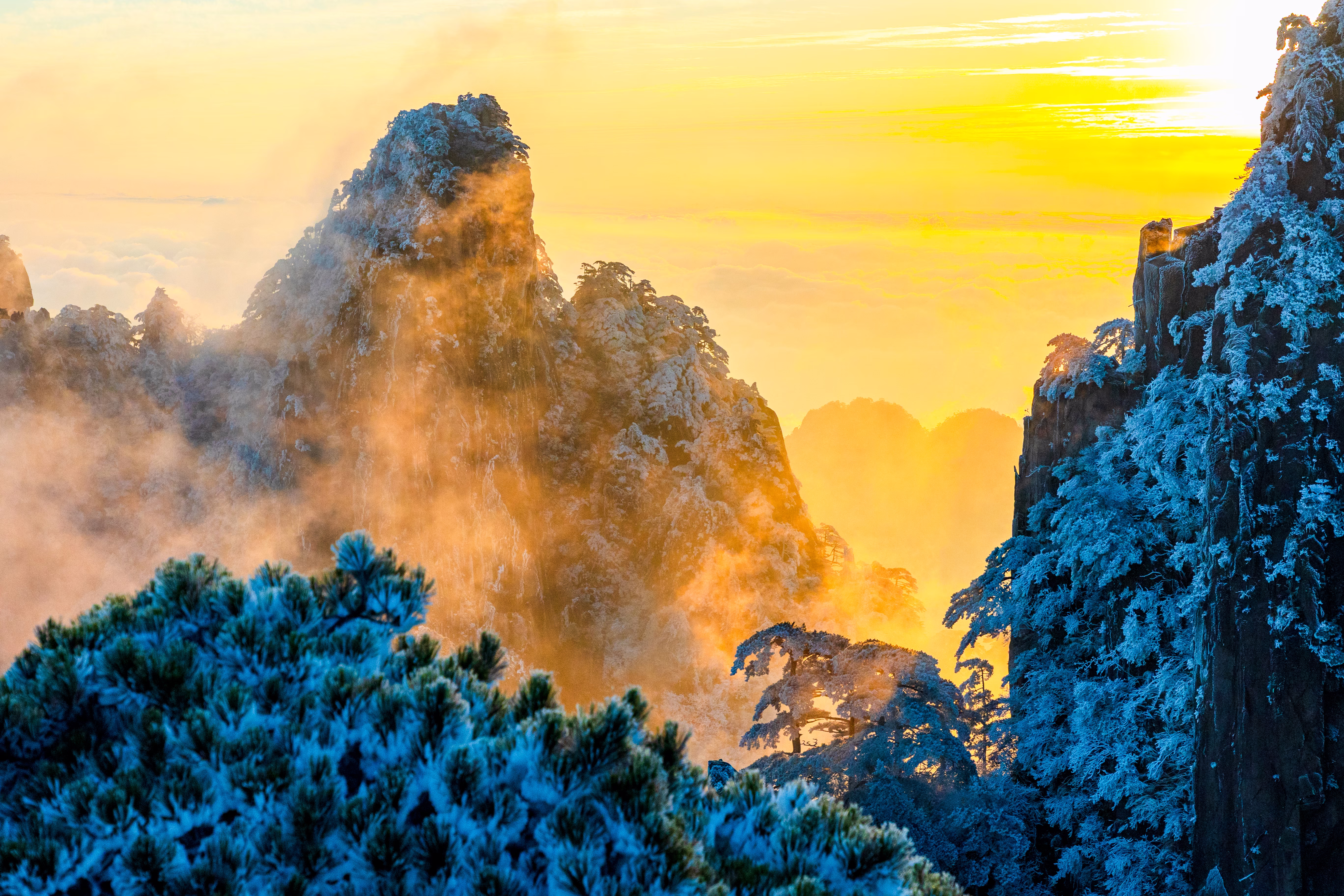 A foggy landscape scene among steep mountains, with trees and bushes covered in frost