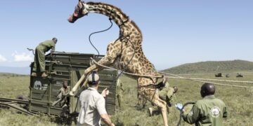 Photos of the Week: Christmas Market, Mountain Frost, Penguin Outing