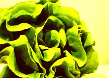 Top Economist Warns That AI Data Center Investments Are “Digital Lettuce” That’s Already Starting to Wilt