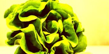 Top Economist Warns That AI Data Center Investments Are “Digital Lettuce” That’s Already Starting to Wilt