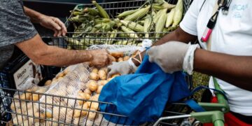 The Shutdown Is Over, but Its Damage Is Not