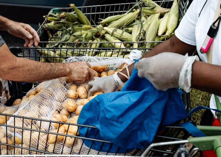 The Shutdown Is Over, but Its Damage Is Not