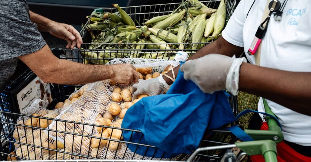 The Shutdown Is Over, but Its Damage Is Not