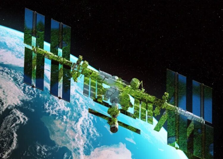 Scientists Intrigued by Moss Surviving on Exterior of Space Station