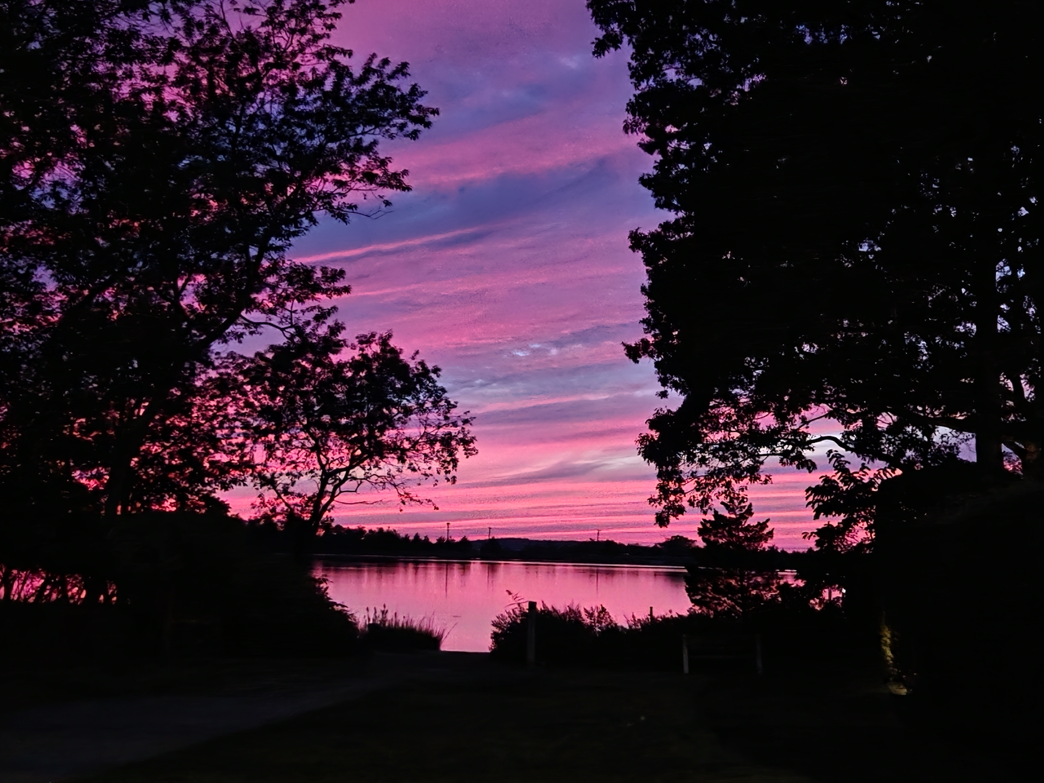 A pink sunset over the water