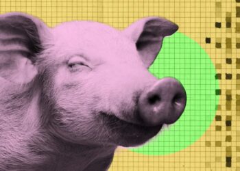 New Startup Harvests Bacon Without Killing Pig