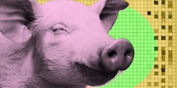 New Startup Harvests Bacon Without Killing Pig